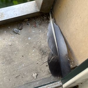 亚洲国产911在线观看
